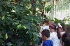 IMG-e267dea9cc3c3456b658c274b6e31bad-V