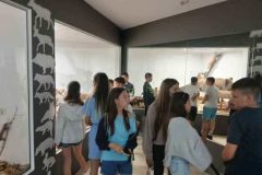 IMG-6f0967b162d68d58e9edec8a28091b0a-V