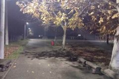 img-7d1b6a44c1bed2336edcc353e25ab3a4-v