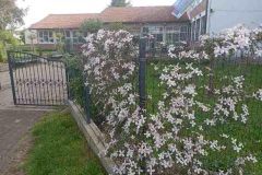 img-3cc31d3381da269444accb08c2189d51-v