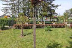 img-513a874a79410977f43c607daa8cd139-v