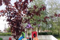 img-87da2ee07ddb5587ead7f8a03e2fe939-v