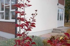 img-745e933e5ab03ac8dc5d47b7bb031139-v