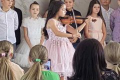 IMG-ff8667ef45798ffa1d118c4e9aab7f0a-V