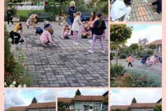 IMG-38cd38f7bc2d28751ac7faec78287ce6-V