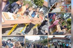 IMG-3d91271559d9762ecaae8791708c1759-V