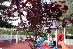 IMG-d12a843306a05e8fc264a61f53d5f65c-V