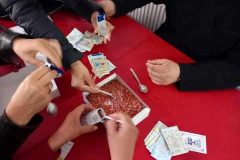 IMG-5b8e71ab9e344c6d3974b176874f5d9b-V