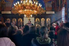 IMG-233d3bd8d1fcd206c468315bbfa263f3-V