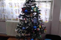 IMG_20231207_114058
