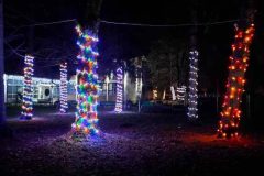 IMG-aa28d8a6dfce9a050c8026726acb603c-V