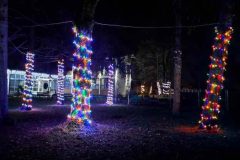 IMG-cdb8f346a6929c2451953e310ede3842-V