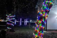 IMG-dfa961bc06162b5f044cfa141fb35a87-V