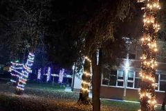 IMG-fb8cf1444b612c585f62cf03d753a102-V