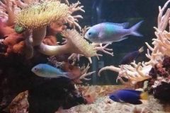 IMG-320a2797412deee8d656ca9c288bf055-V