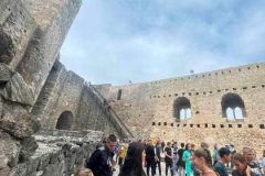 IMG-603dd0db798e651d156c5561792982ac-V