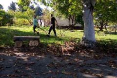 IMG-1a255ccc2afed6ba0000a60794cb7d9e-V