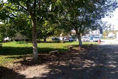 IMG-219fdab6d3a4e32155d19a62b5a5e725-V