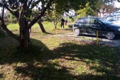 IMG-64511799c7dfb1e4d1ebc31539dade75-V