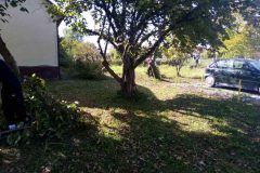 IMG-86b21eef04099369b97b023573333dd6-V