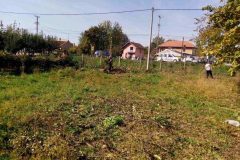 IMG-cca443a53cb6597ee0e6b3954d678740-V