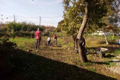 IMG-f41f566f2732dbc5622d23157dbfb6be-V