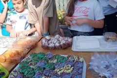 IMG-1e138460cfe1081ac5cba65fcd0da516-V