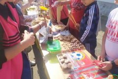 IMG-2aea4092c3c193bcc46477402dbb4727-V