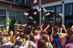 IMG-2b52b8db99303b8a1127394d7040c30f-V