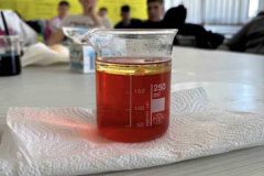 668143155_936854605731714_843023719157246294_n